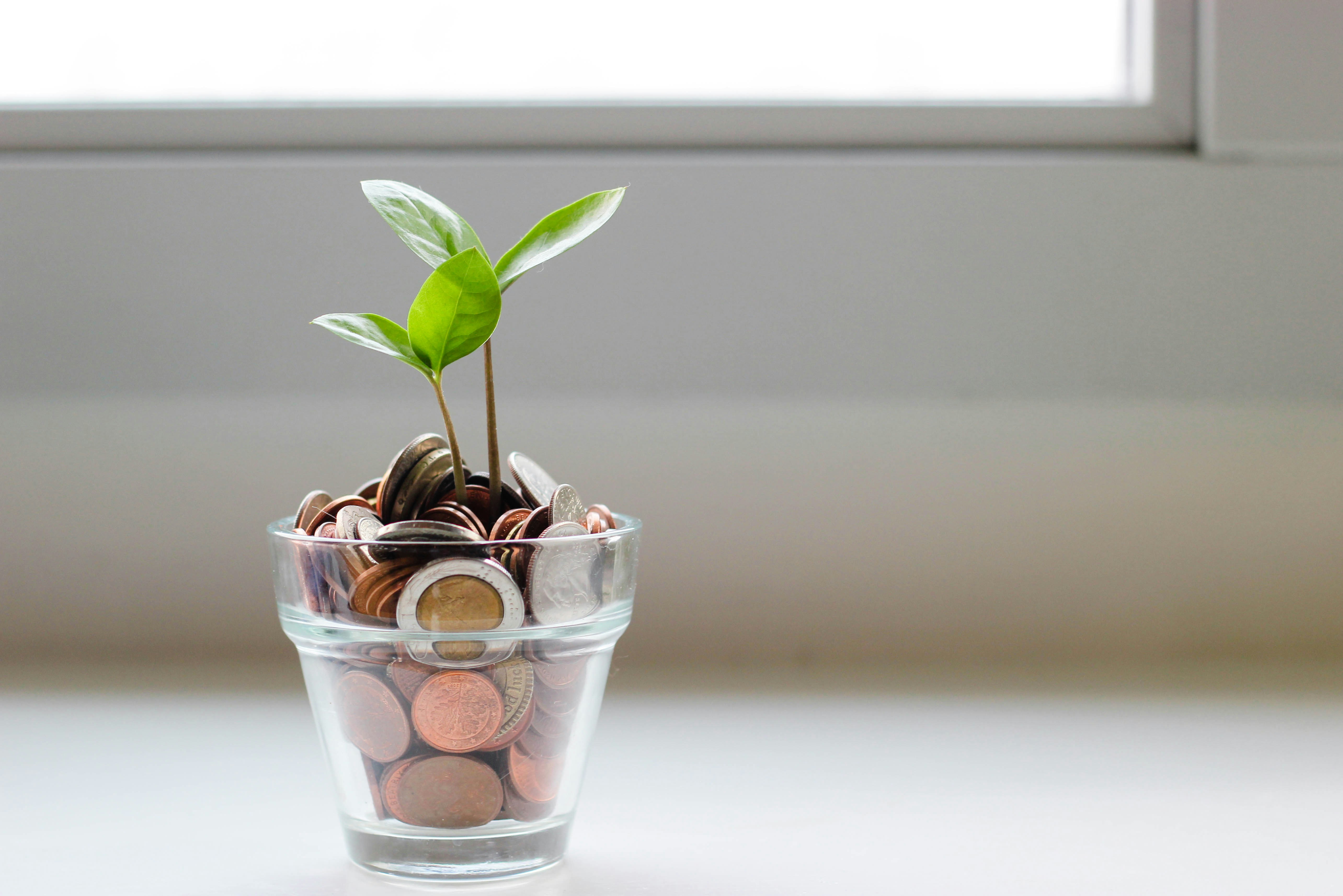 Financial freedom